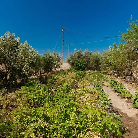 The Tree Santorini Vakantiehuis Perissa (Santorini)
